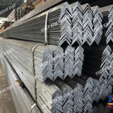THEP-HINH-V40