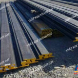 THEP-RAY-QU100-THEP-RAIL-QU100